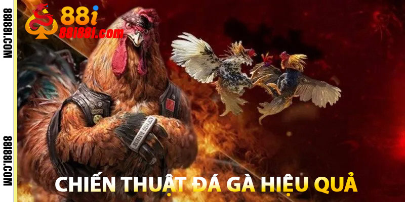 Đá Gà 88i – Trường Gà Trực Tuyến, An Toàn, Minh Bạch 1 Chiến Thuật Đá Gà Hiệu Quả